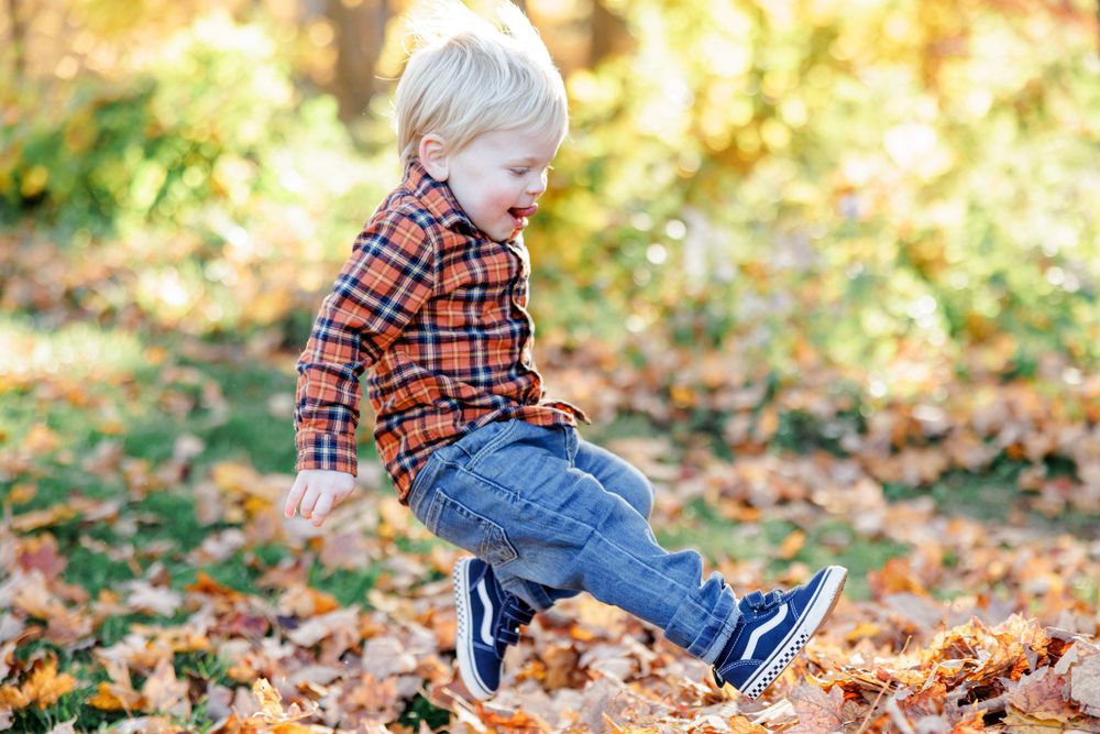 A playful scene in golden autumn sunlight with fallen leaves scattered across the ground.