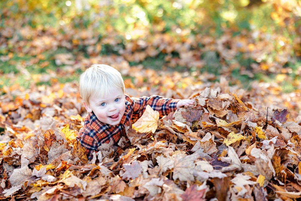 A series of photos showing someone playing in a pile of fallen autumn leaves.