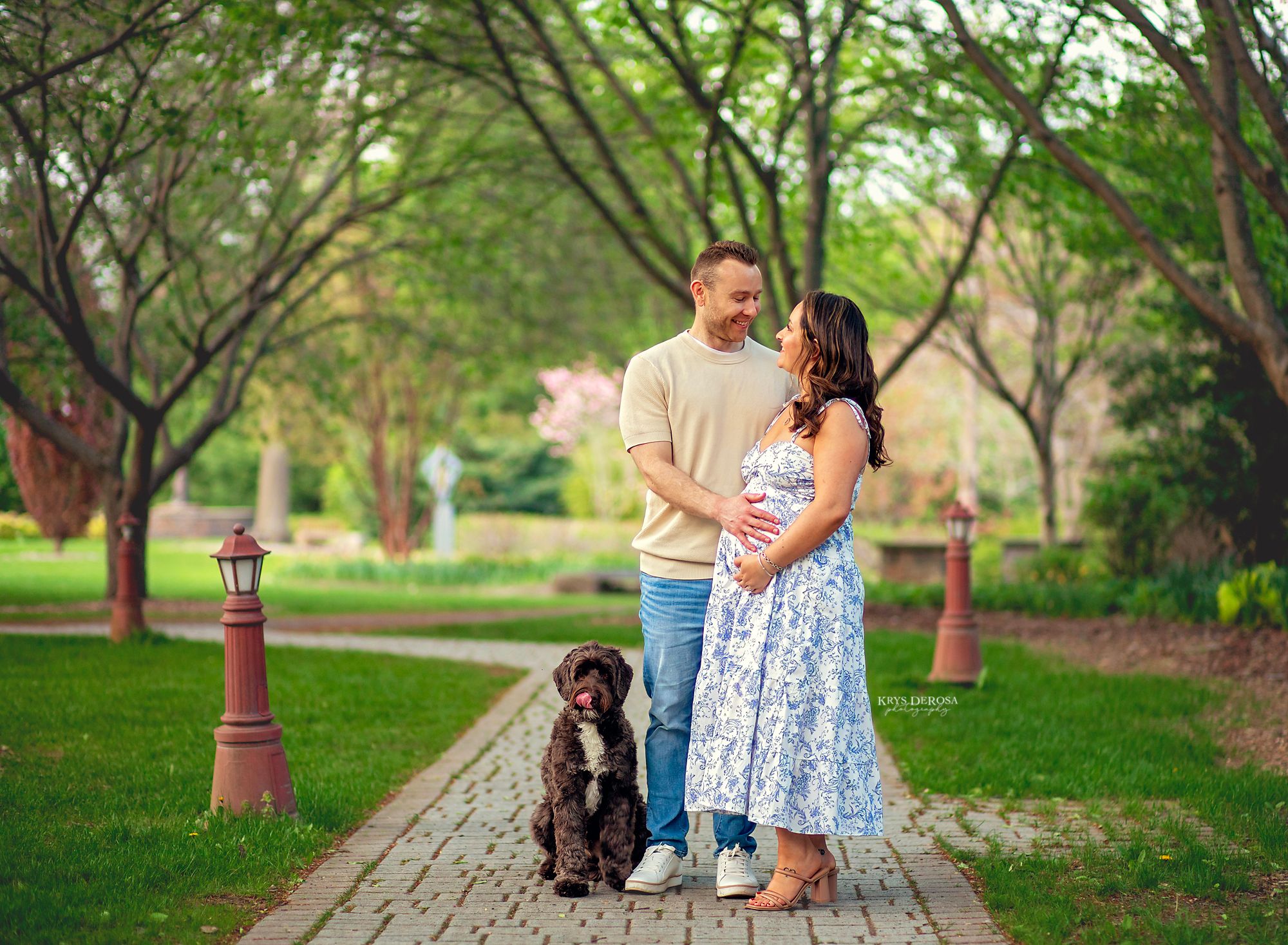 Couple holding hands on a brick path in a lush green park with their brown dog during a maternity photoshoot.
