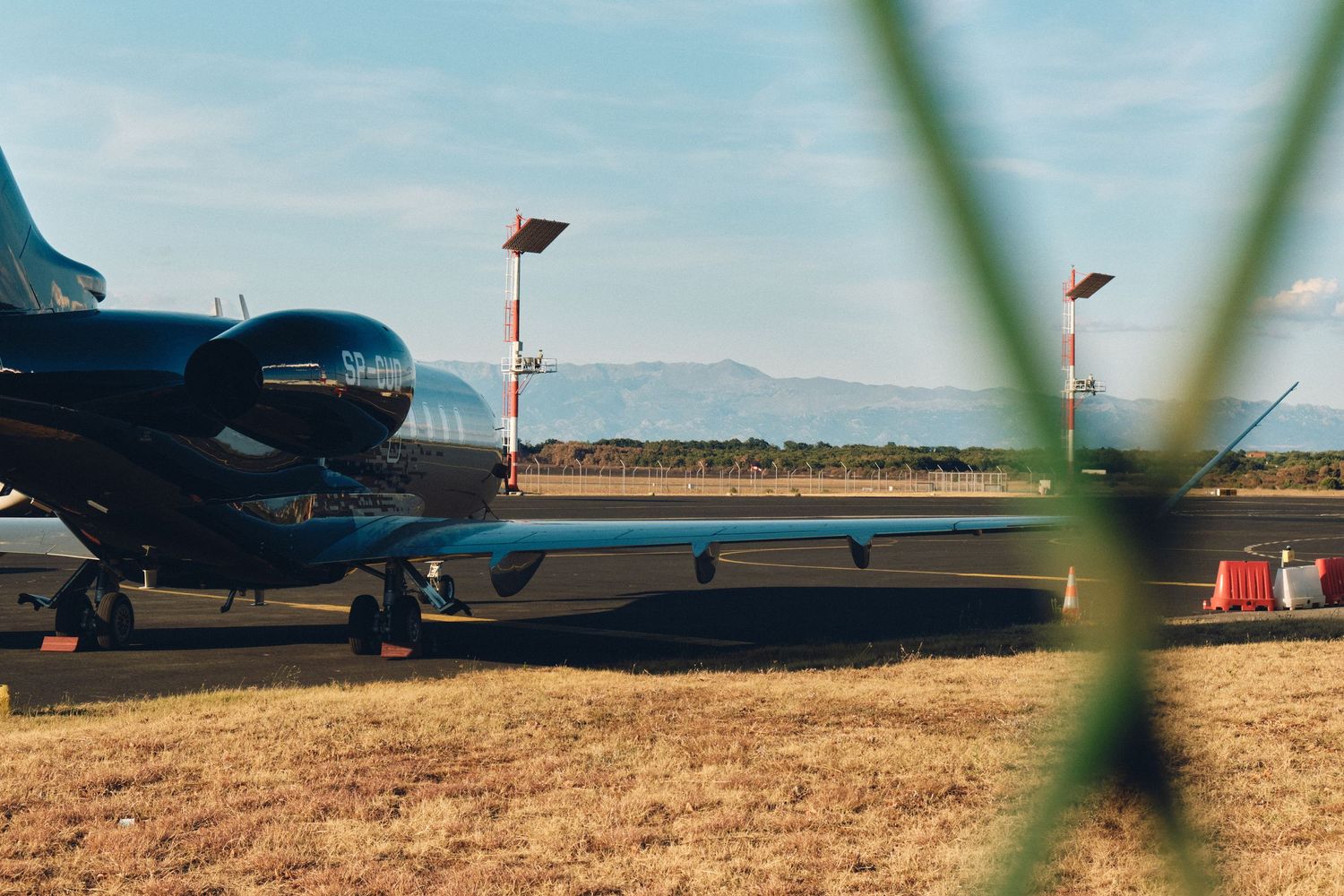 Vintage military aircraft parked on dry grass field with blurred foliage in foreground.