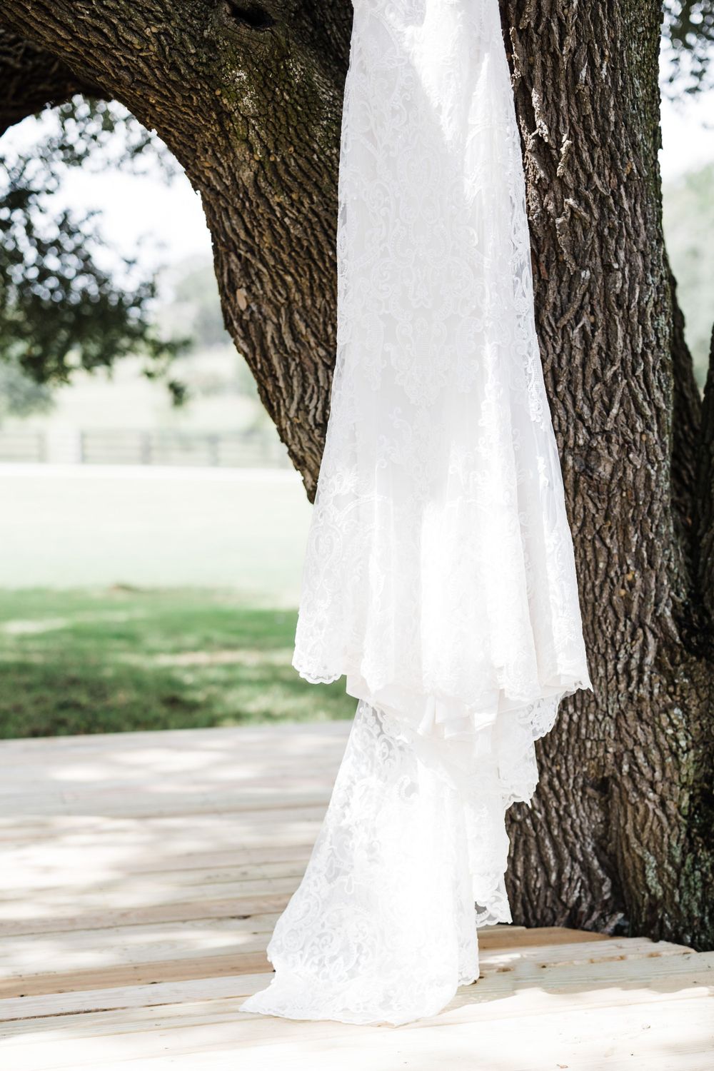 Avery-nathan-Oaks-at-High-Hill-osterman-photo-reverie-photo-texas-hill-country-photographer-san-antonioAvery-nathan-Oaks