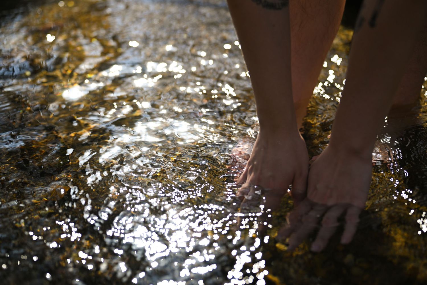a creek with afternoon sun shining on it and a person's hands dipping into the water