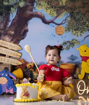 Winnie the Pooh themed first birthday photo session with woodland backdrop and honey pots.