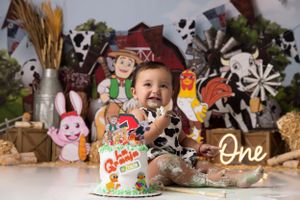 First birthday celebration with farm animal themed decorations and smiling baby.
