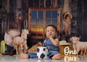Rustic farm-themed cake smash setup with toy animals and a denim-clad baby enjoying their first birthday cake.