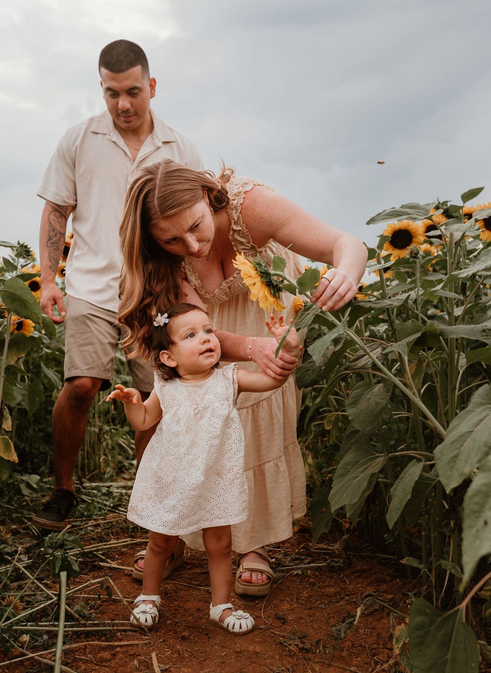 Family exploring a sunflower field together on a cloudy day, walking through tall stalks and enjoying nature.