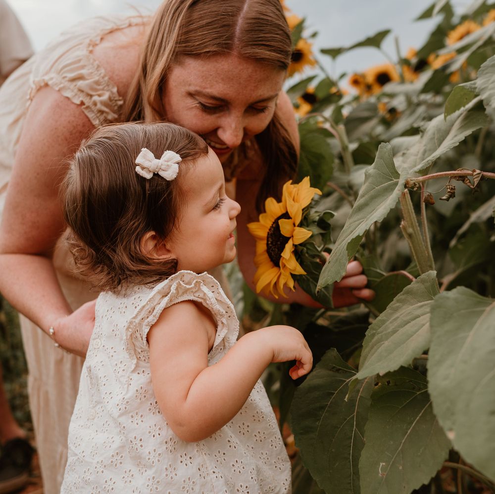 A dreamy summer scene in a sunflower garden with soft warm lighting.