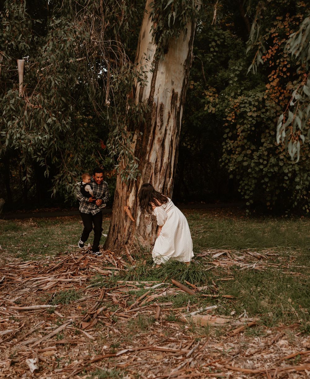 A couple plays hide and seek around a large eucalyptus tree in a moody forest setting.