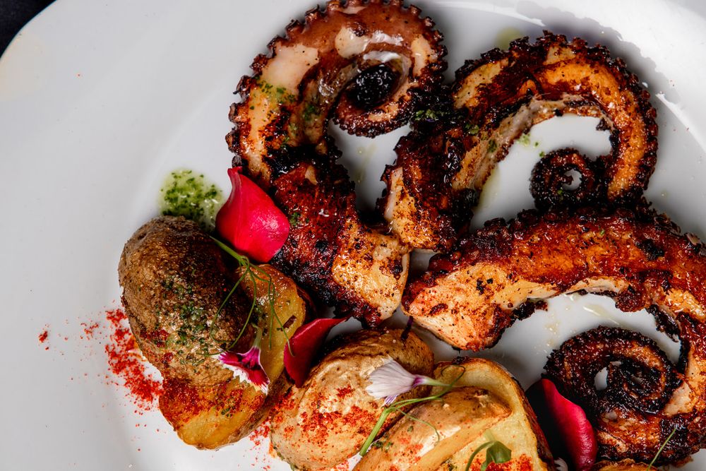 Grilled octopus tentacles with charred marks served on a white plate with colorful garnishes and seasonings.