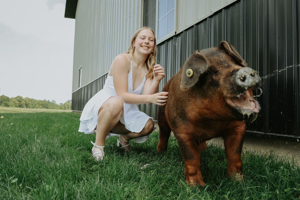 A woman in a white dress kneels next to a large brown pig on grassy ground.
