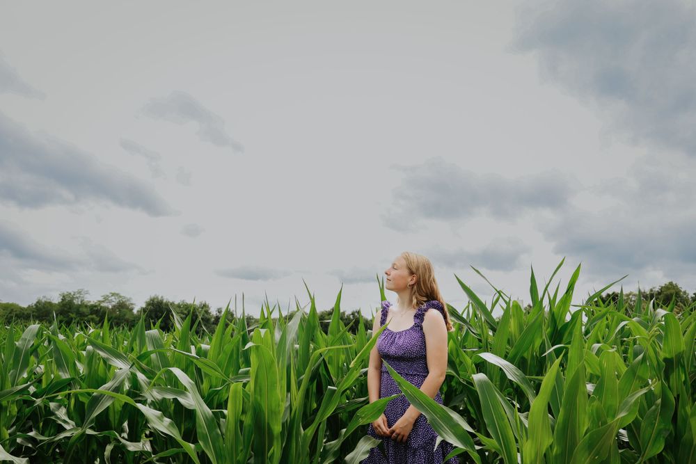 A figure stands among tall corn stalks against a cloudy summer sky.