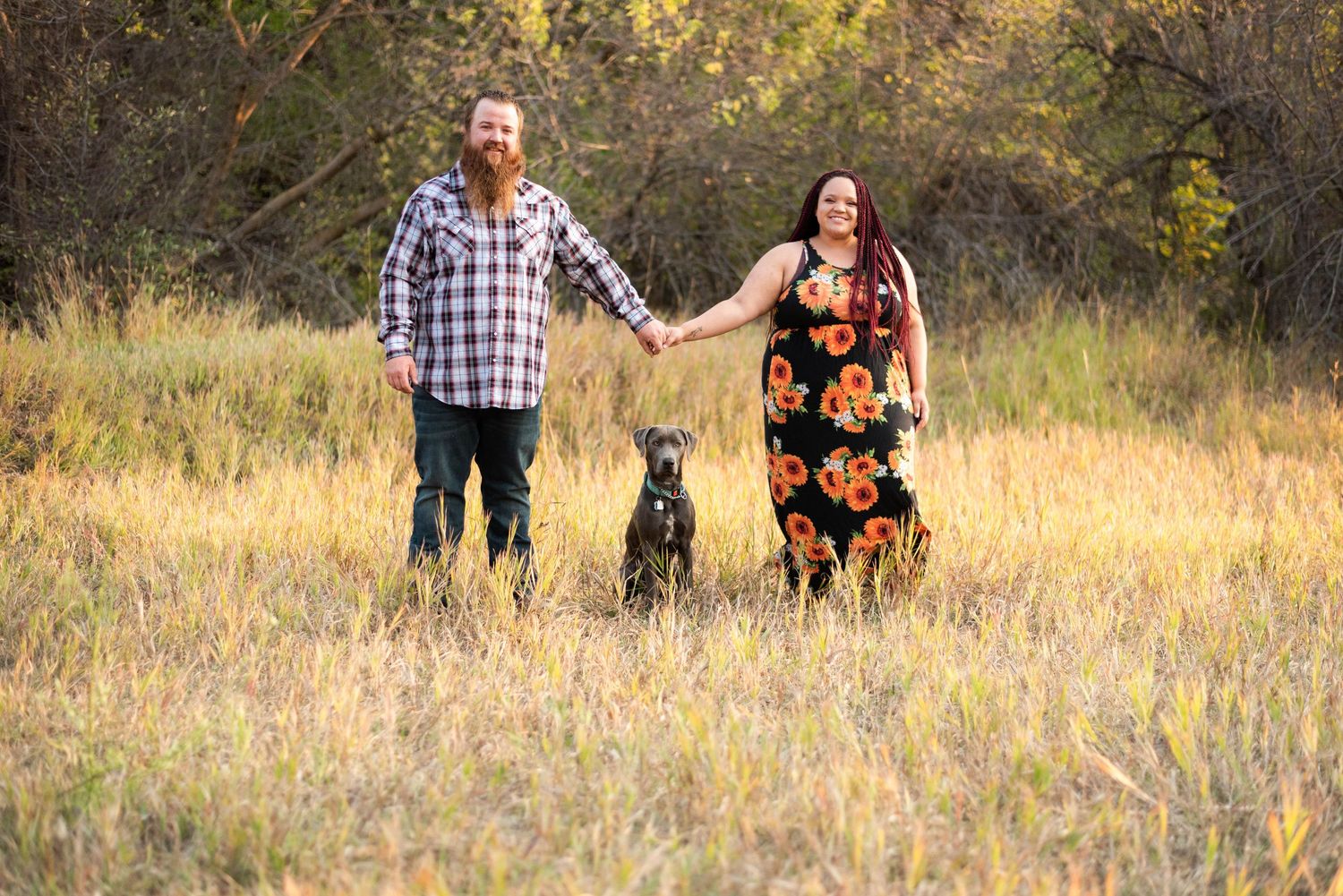 A couple poses together in a golden autumn field during a sunset engagement photoshoot.