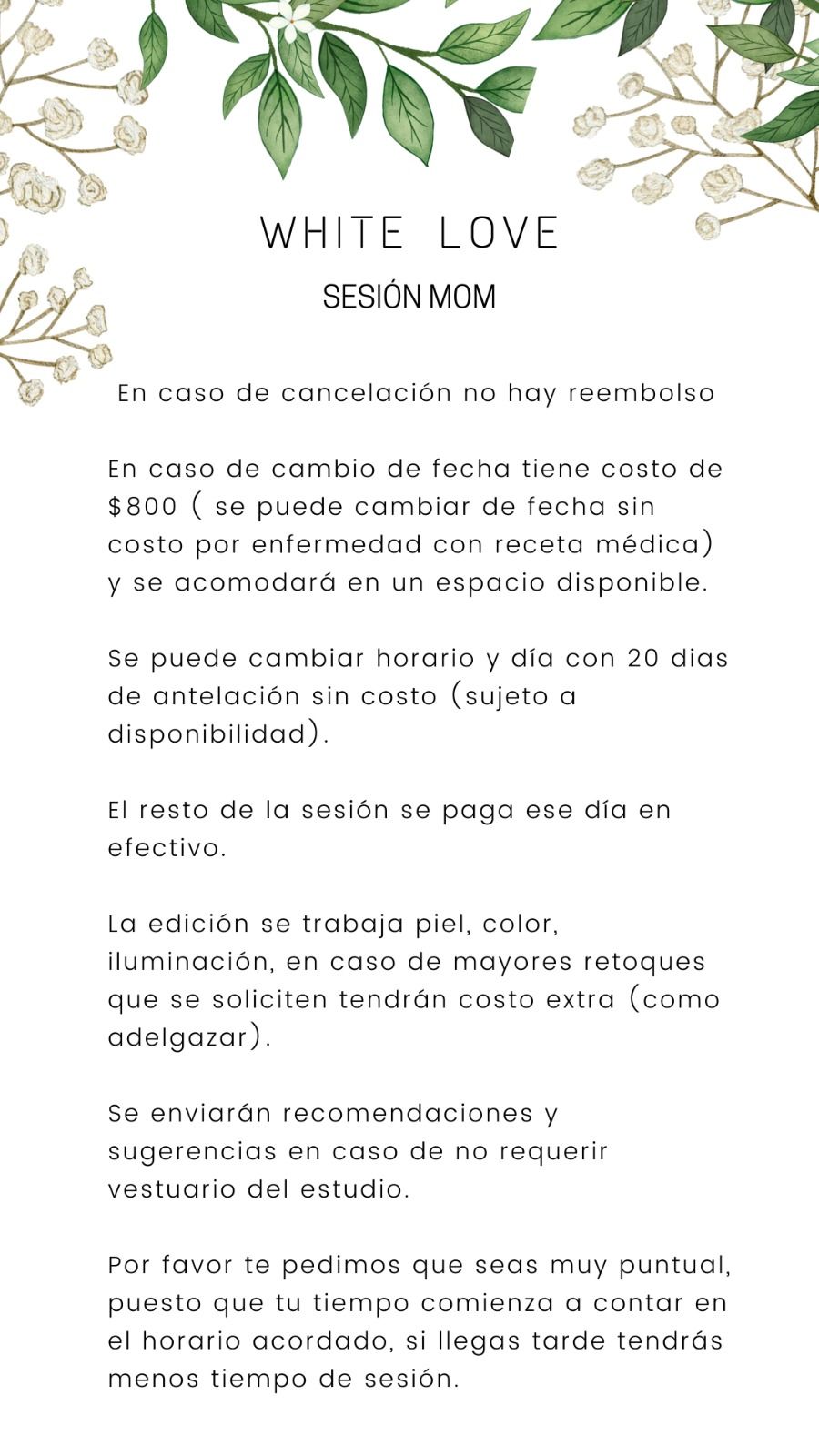 Text-based image with photography session terms and conditions in Spanish with floral decorative elements.
