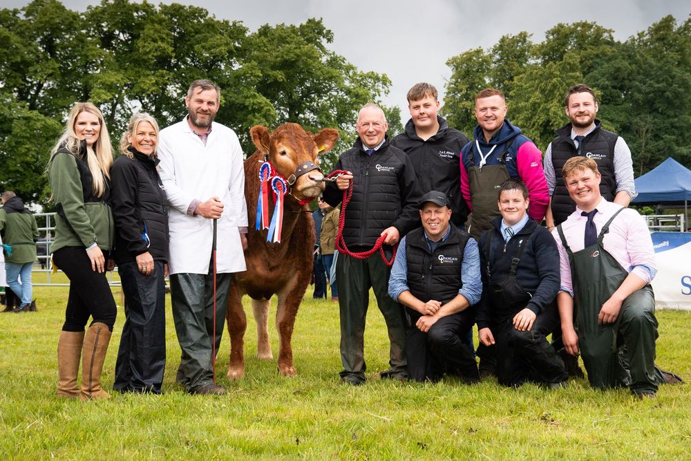 Group of people that it take to bring out a winning cow