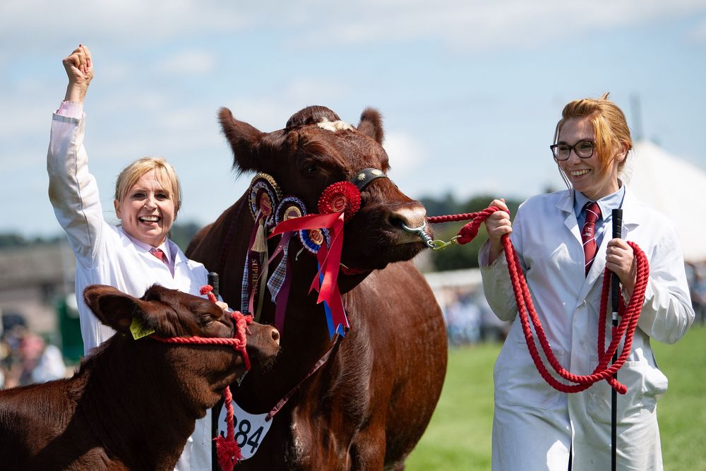 Woman fist pumping the air after her cows is tapped out the winner