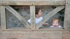 Two young children peek through wooden fence slats in a garden.