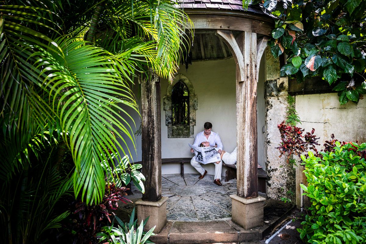 A tranquil garden scene with a covered bench surrounded by lush palm plants.