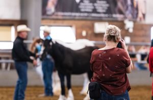 Person photographing a black horse in an indoor arena while others look on.