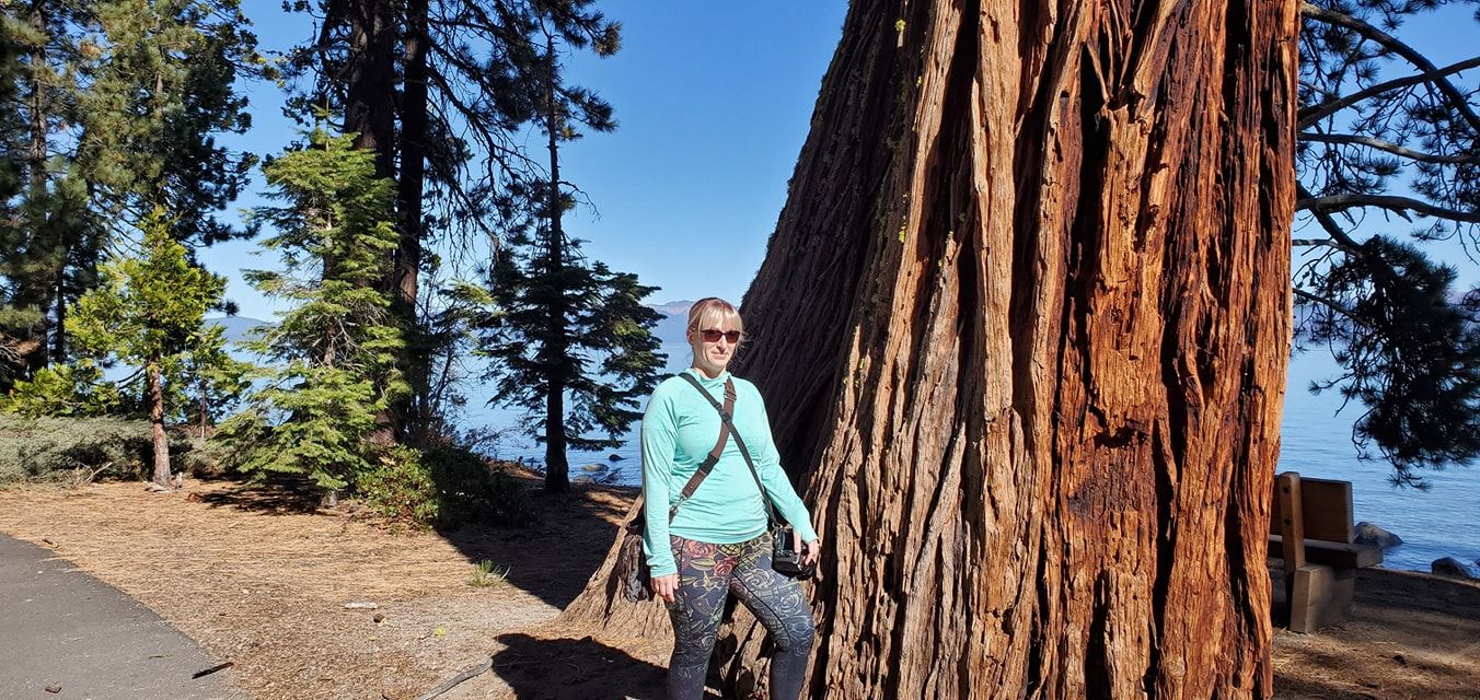 Photographer stands next to a massive redwood tree trunk showcasing its impressive size and scale.