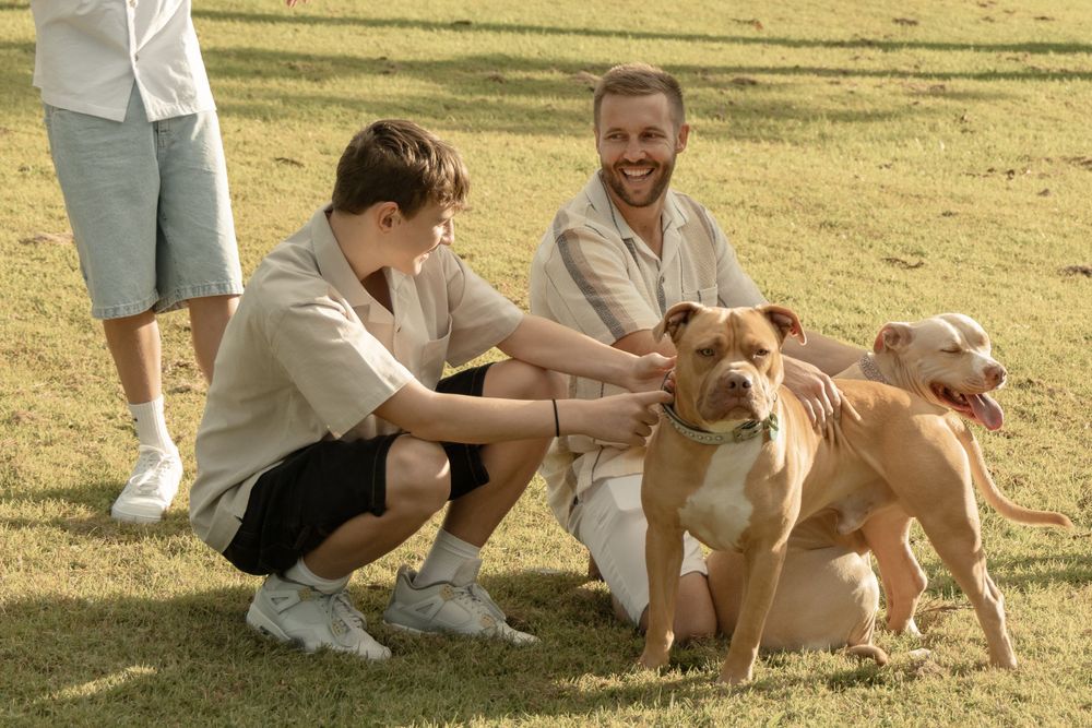 Family sitting on grass and petting golden dogs during an outdoor photoshoot.