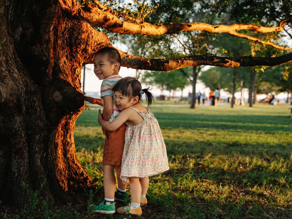 A small child holding drinks stands beneath a large tree during golden hour sunset in a grassy park at Boston Castle Island.