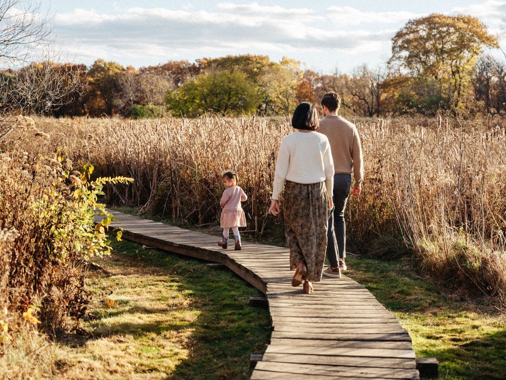 Walking along a scenic boardwalk path through tall autumn grasses in Belmont, MA.