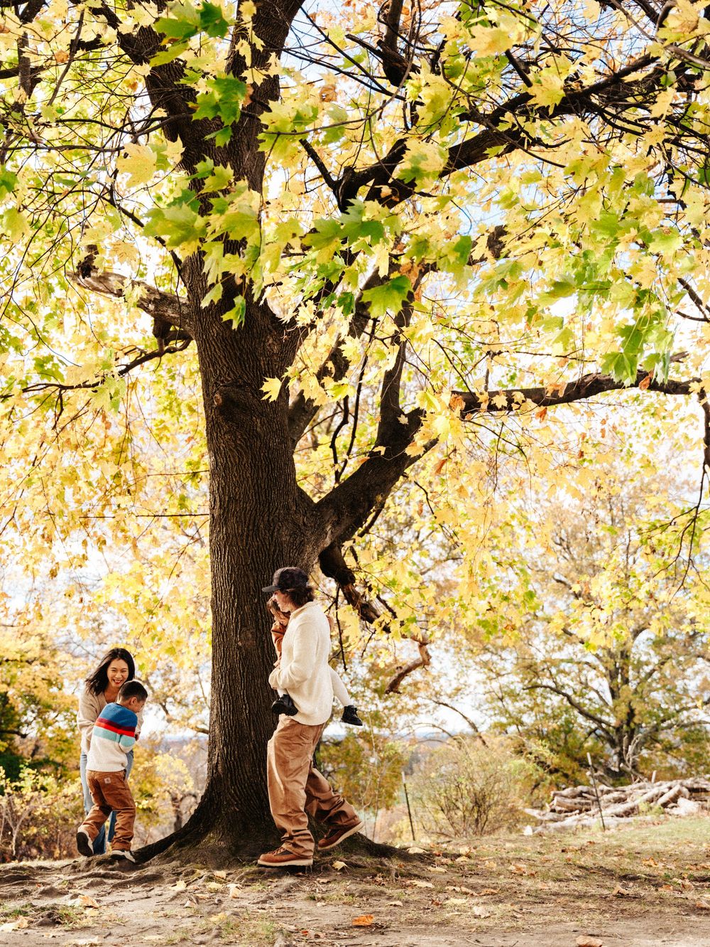 Autumn park scene showing children playing and swinging under a large tree with golden yellow leaves.