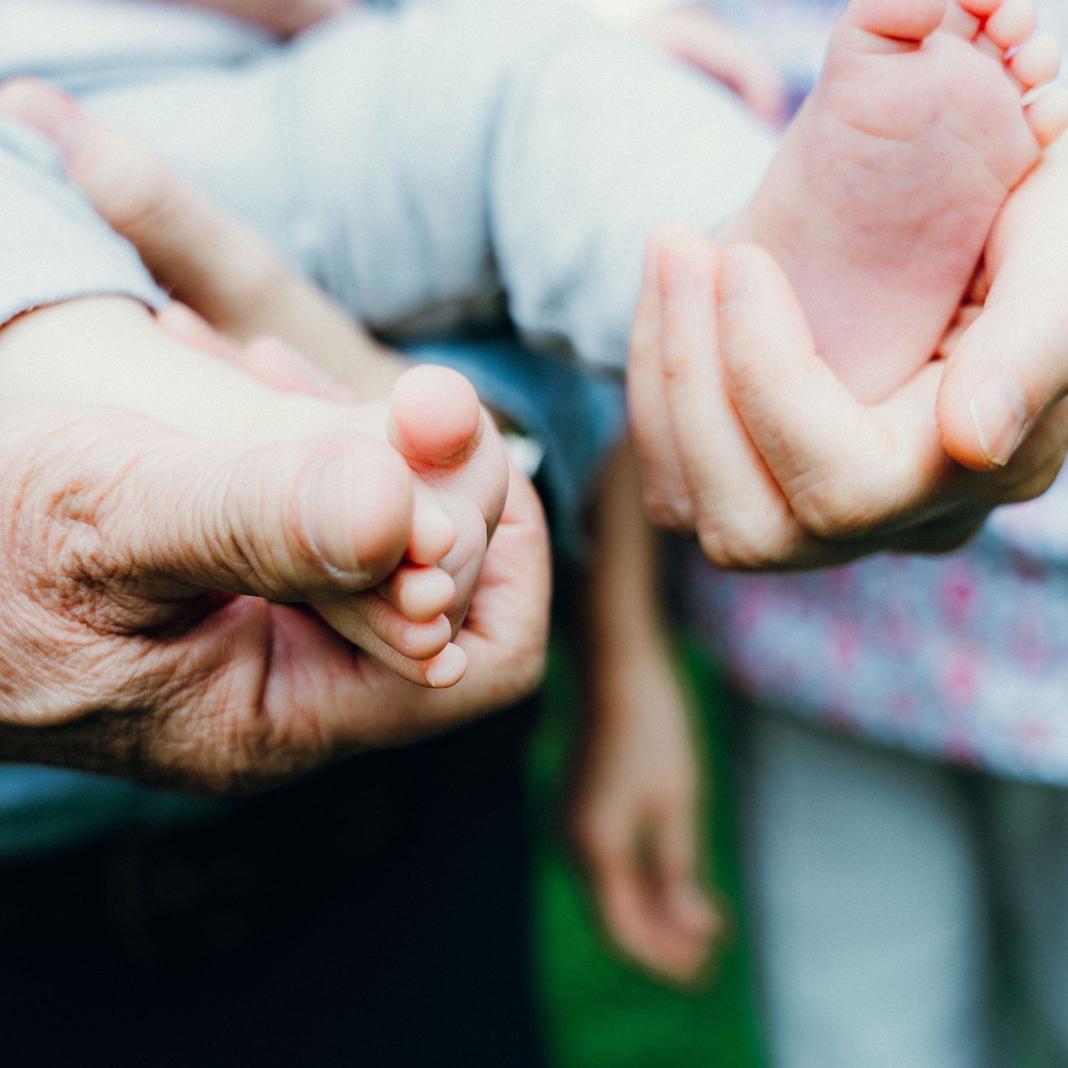 Close-up view of tiny baby feet being gently held in adult hands.