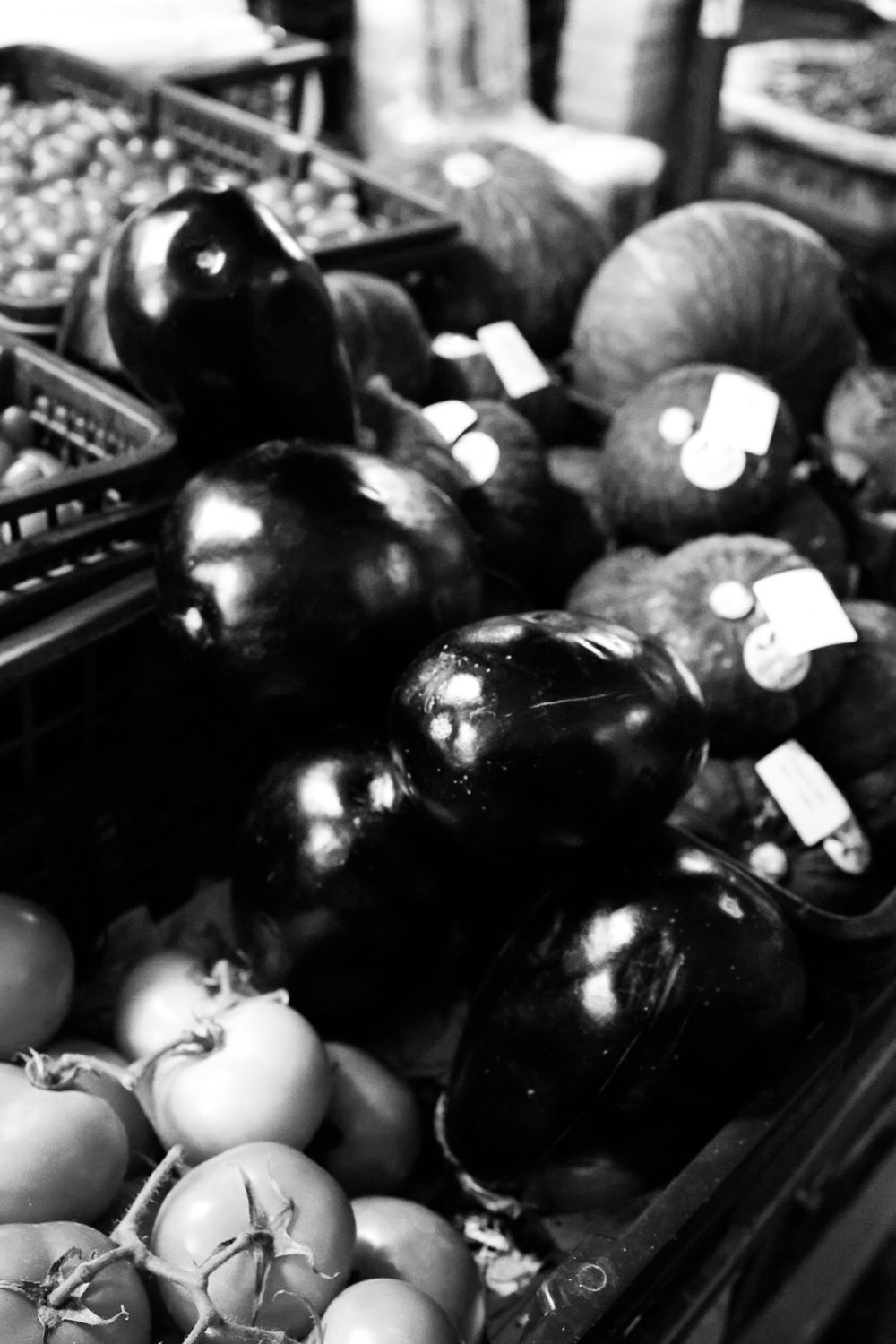 Metapixels Photography
Copyright Image 2024
Bangkok, Flower Market