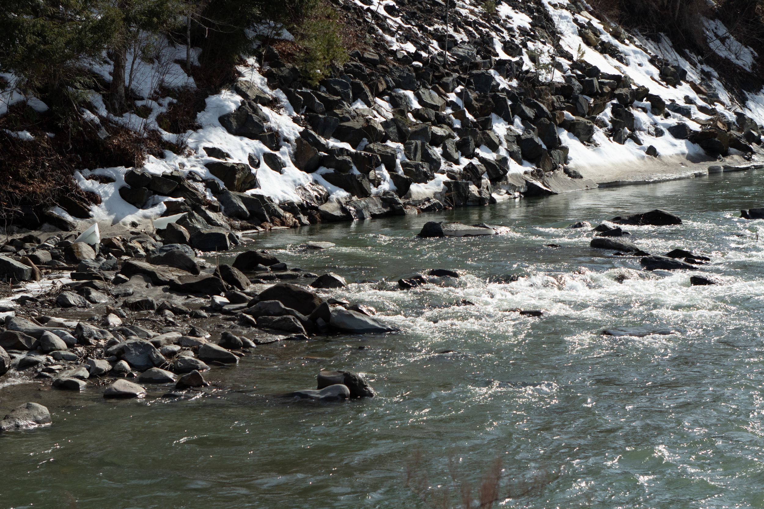 Nature Photo