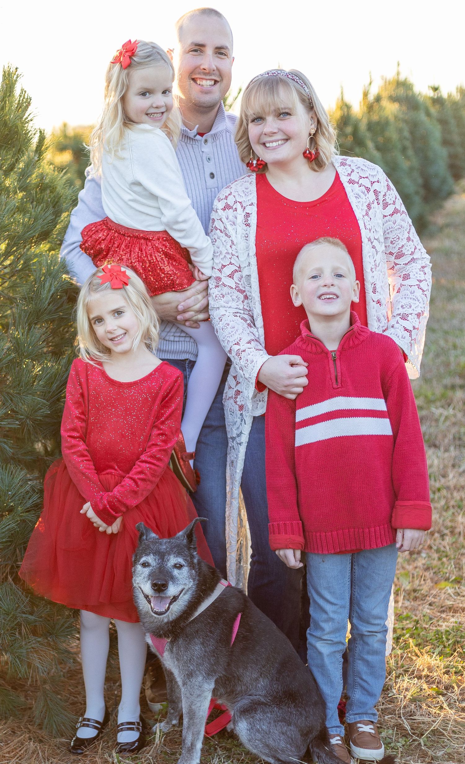 christmas tree farm session belleville illinois