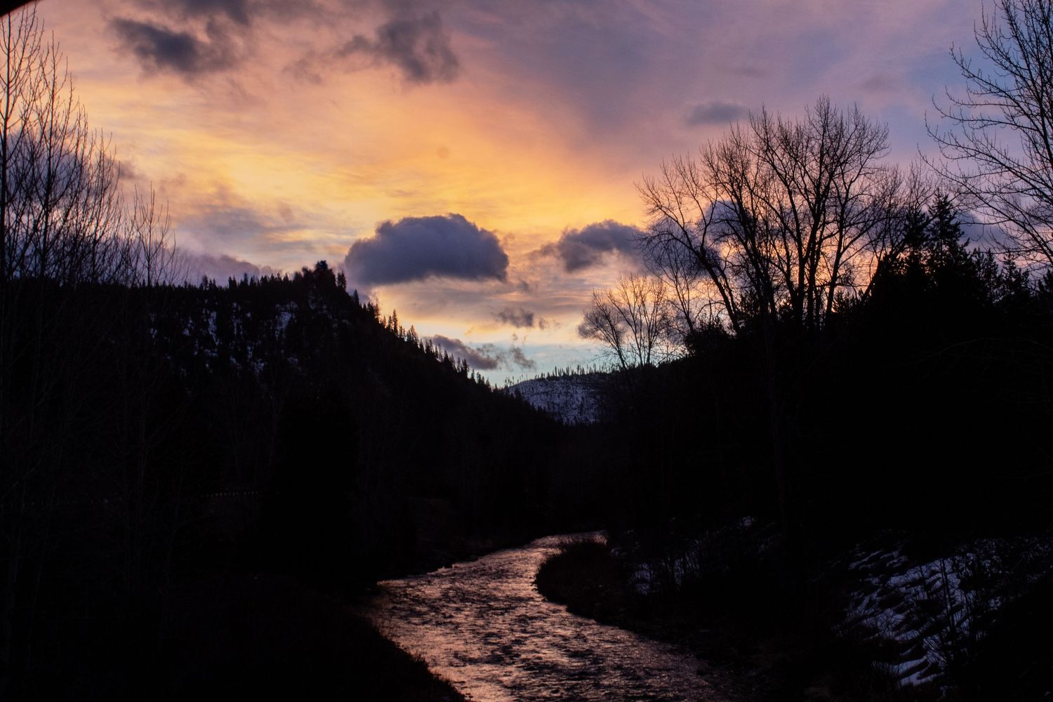 Montana Love Photography