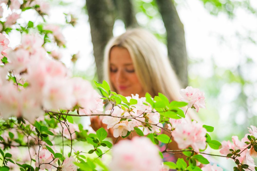 Delicate pink cherry blossoms frame a soft springtime portrait in natural lighting.