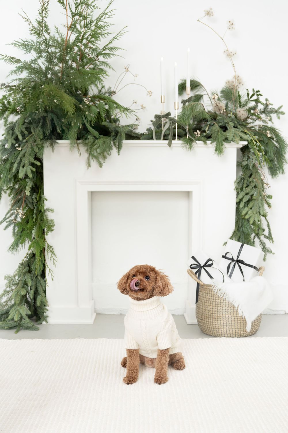 Sequence of decorative evergreen wreaths and garlands with a plush brown dog toy against a white backdrop.