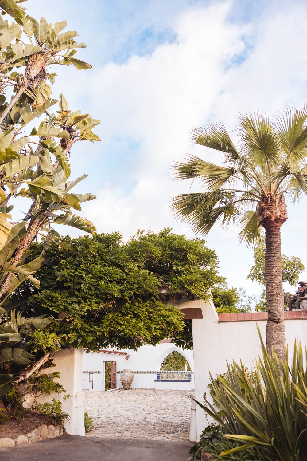 White Mediterranean villa entrance with palm trees, tropical plants, and a blue sky backdrop.