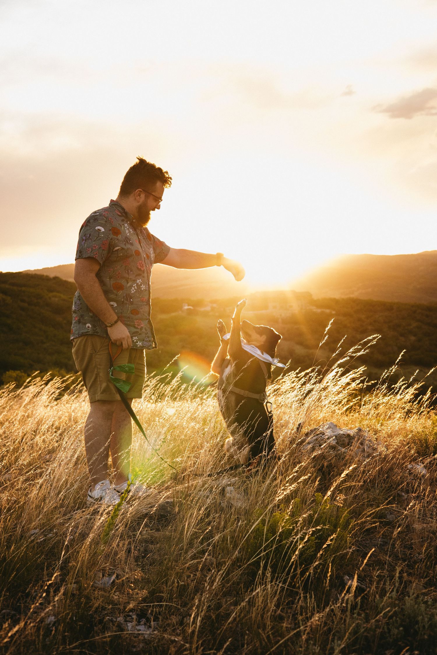 Man and his dog on a grassy hill, at golden hour. The dog is sitting on it's hind legs, reaching toward the sky.