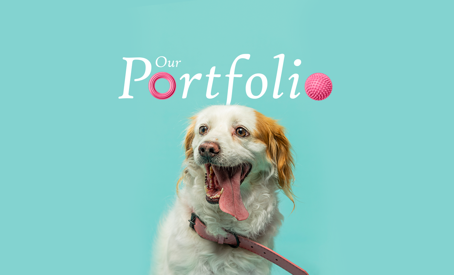 Happy white and tan dog with tongue out against turquoise background with pink portfolio text overlay.
