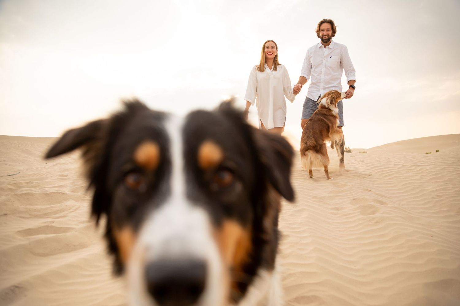 family with dogs couple romantic photoshoot romantic desert abu dhabi
