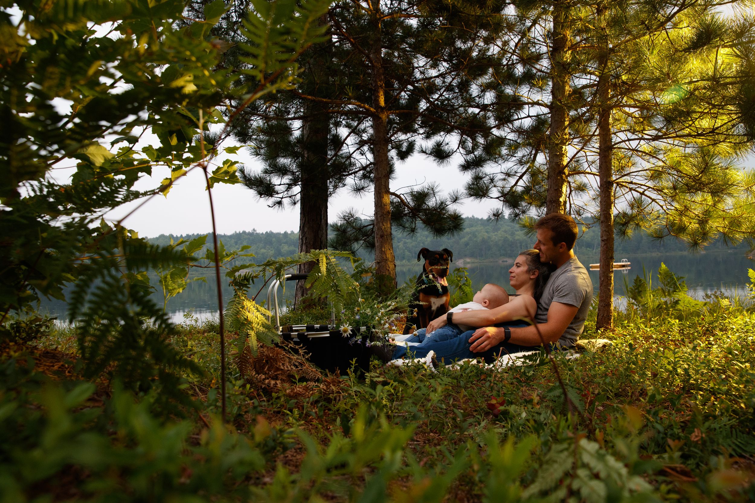 A person relaxes on a bench overlooking a scenic lake surrounded by trees during a tranquil autumn day.