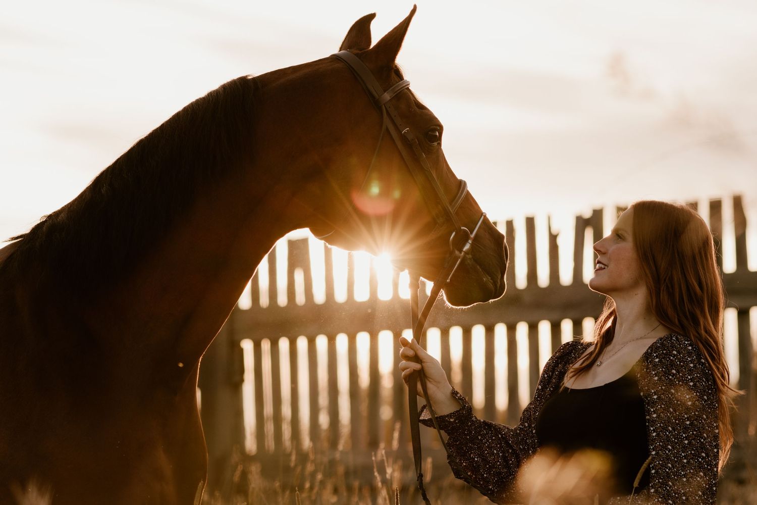 Woman standing close to a chestnut horse with sun flare at golden hour.