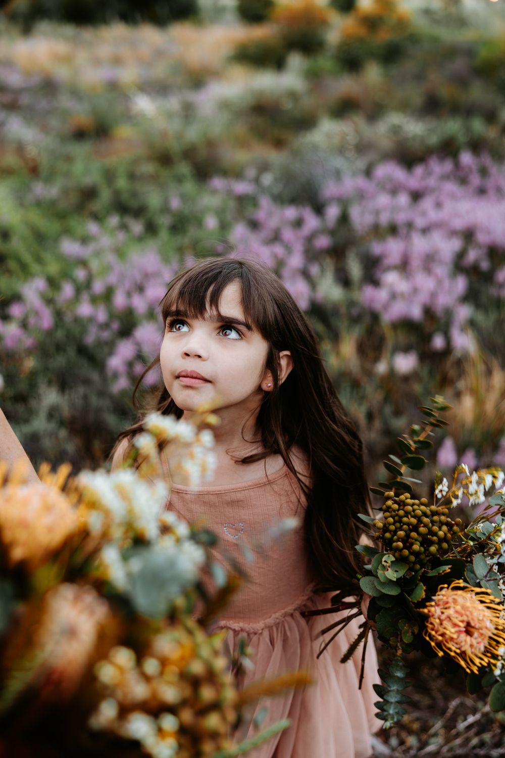 A dreamy autumn garden scene with soft bokeh effect and delicate purple flowers in the background.