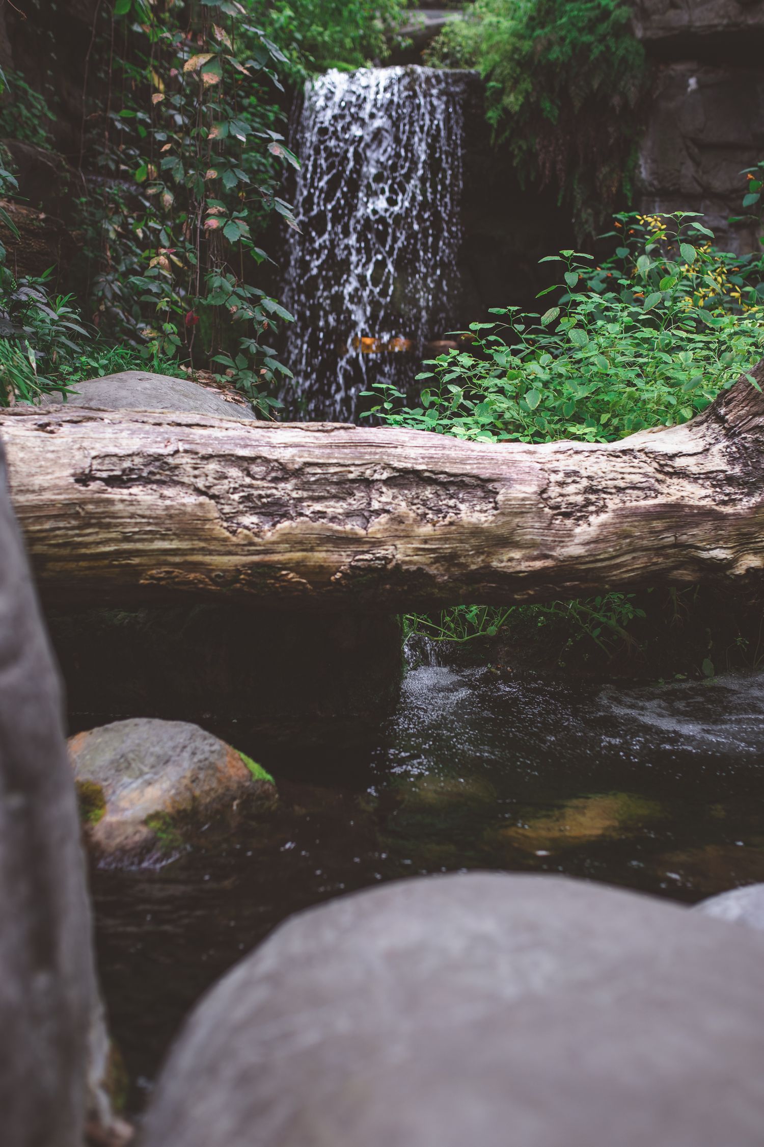 Natural waterfall cascading over rocks with fallen log in foreground.
