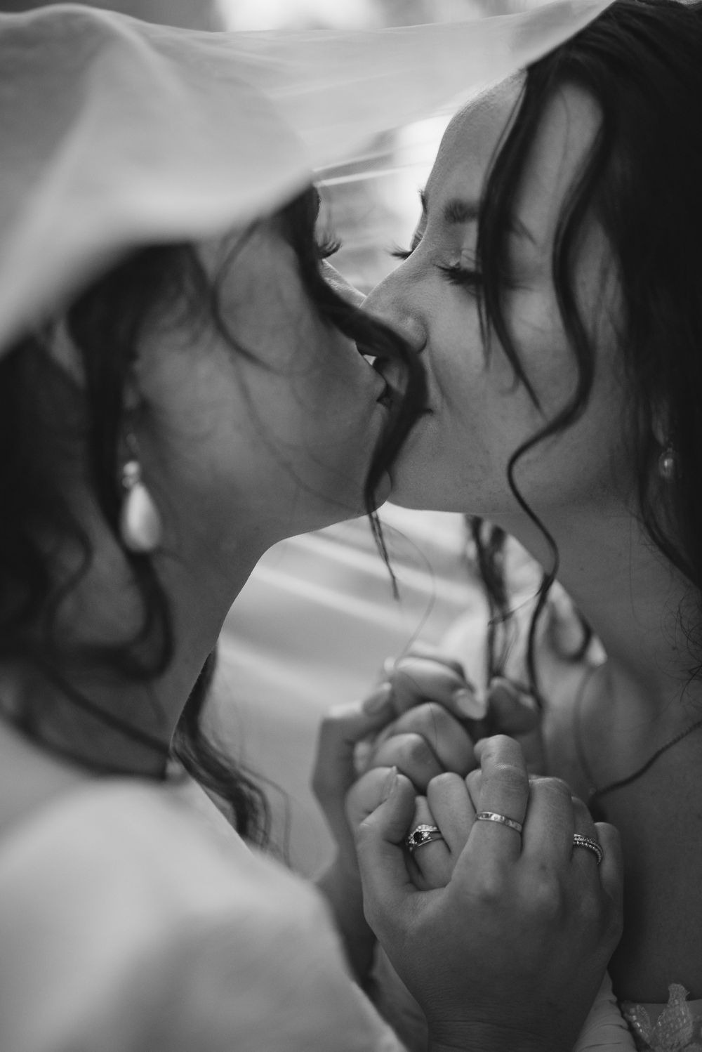 Bride and Bride Portraits veil shot