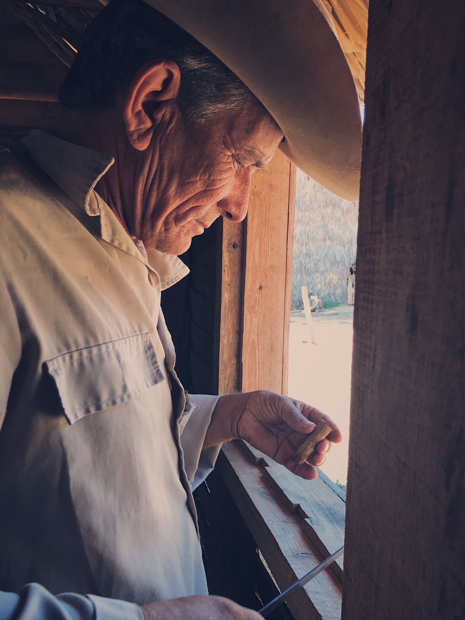 A person in a white shirt sits at a wooden window frame reading papers in warm natural lighting.