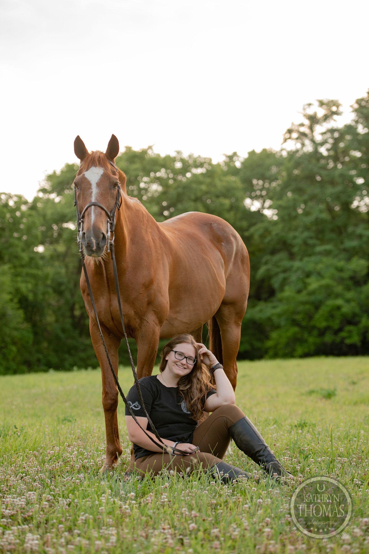 Beautiful chestnut horse stands close by as someone rests in a flowering meadow.