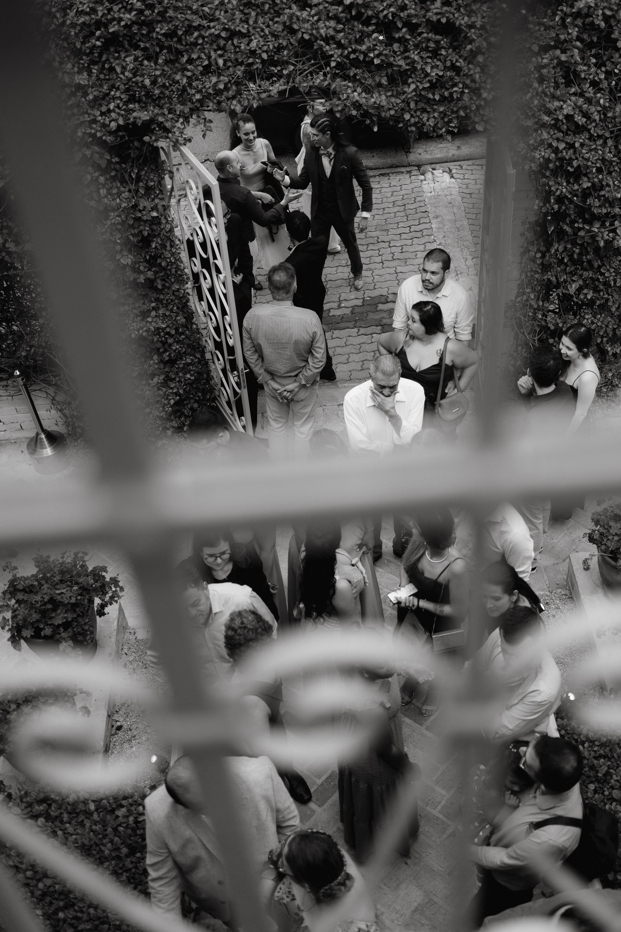 Black and white candid wedding photo captured through foliage.