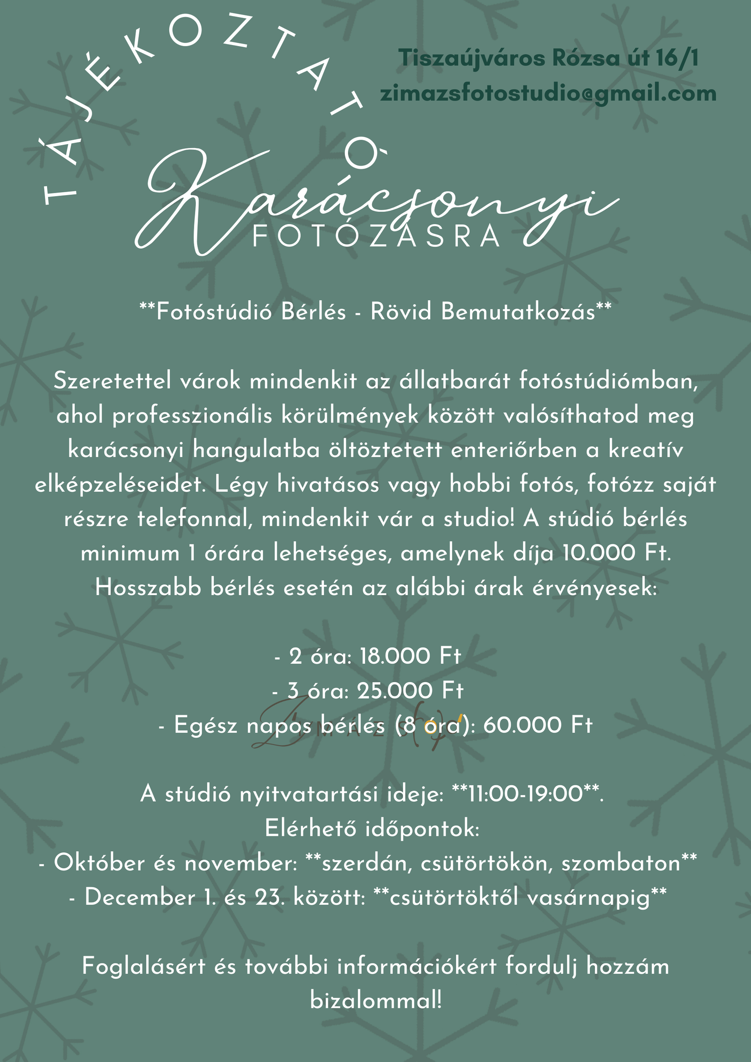 Photography studio pricing and booking information flyer with green background and handwritten logo.