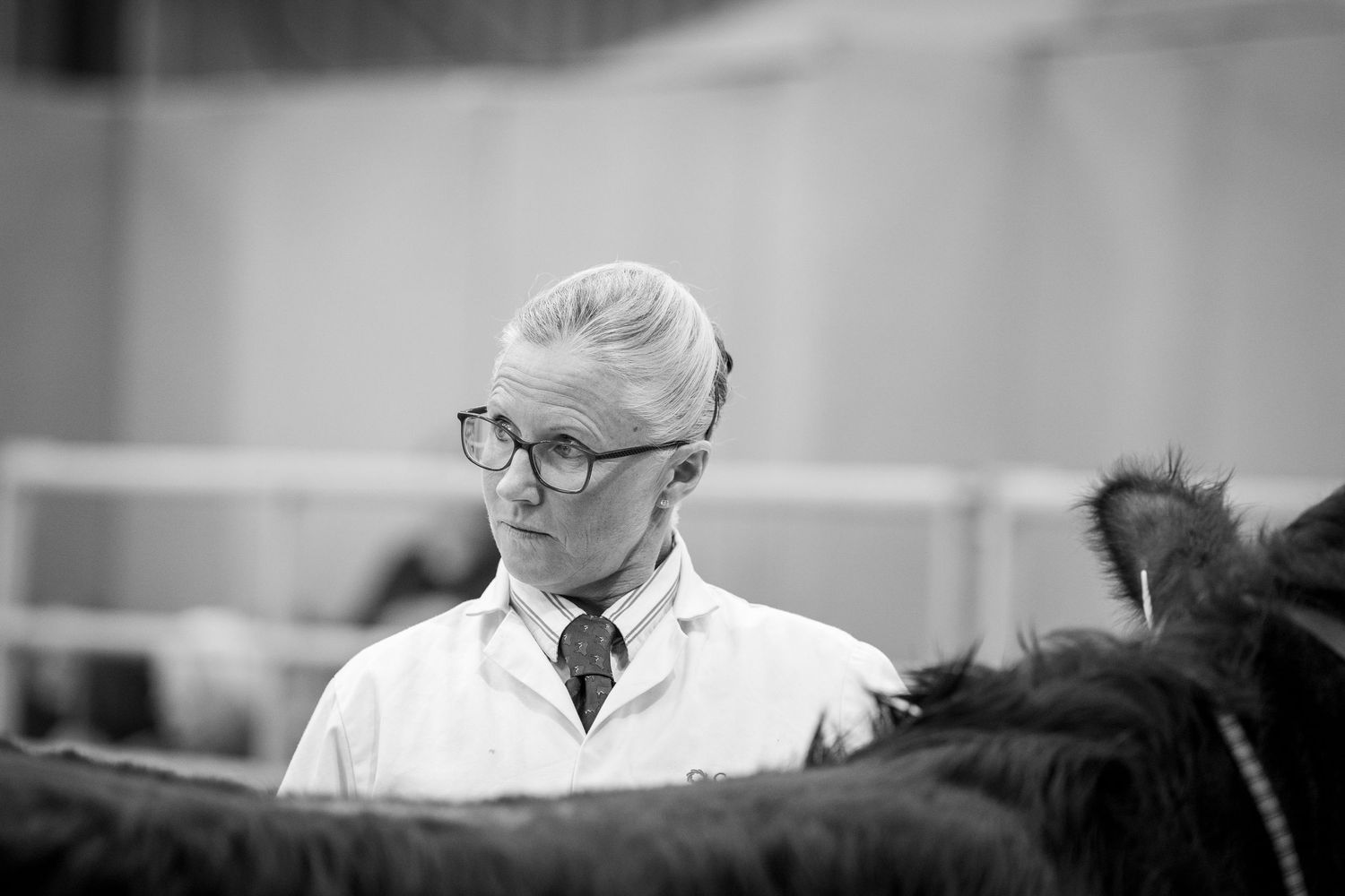 A veterinarian in white coat examines a black horse during a medical checkup.