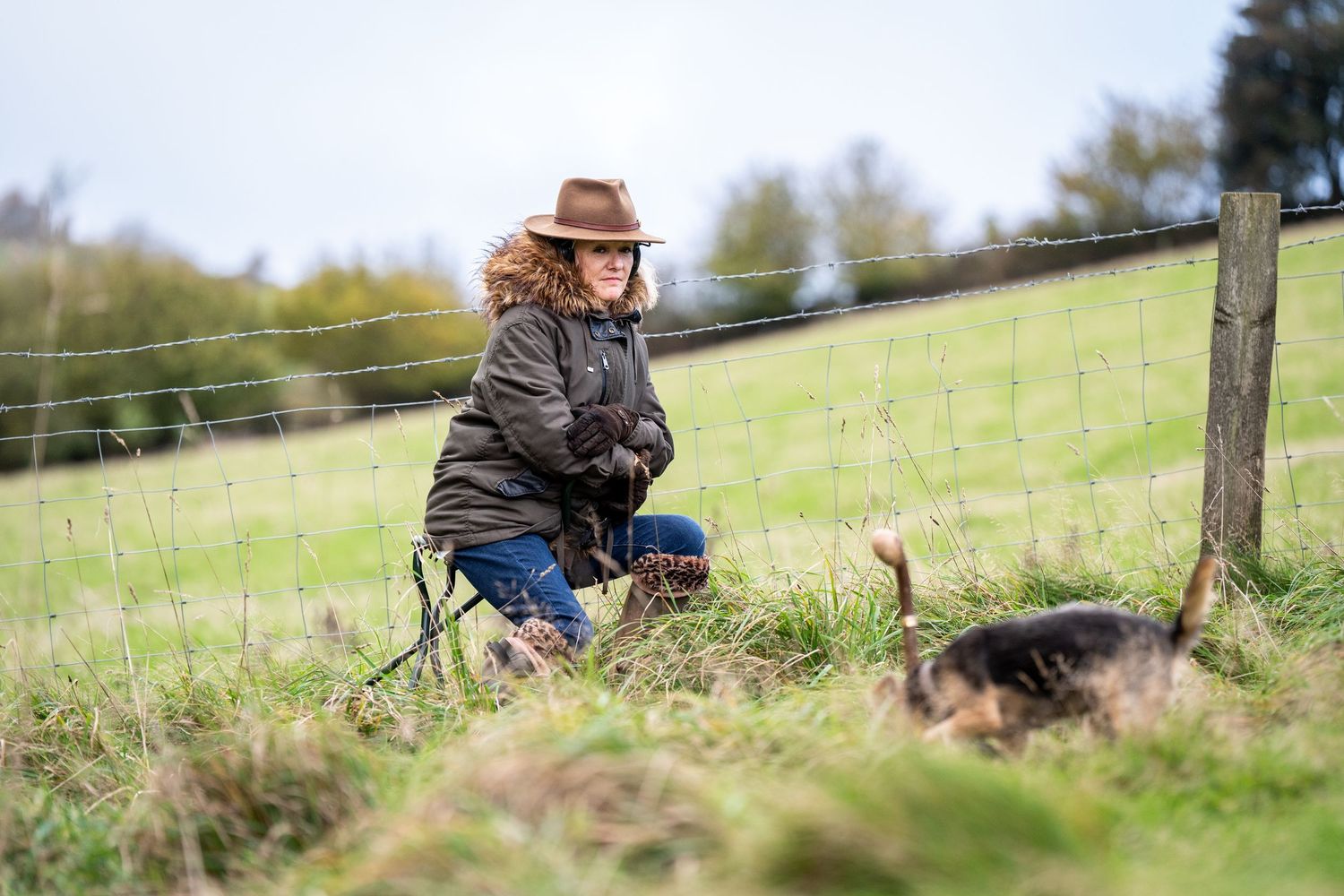 A dog runs through a grassy field with a stick in its mouth while someone watches from a distance.