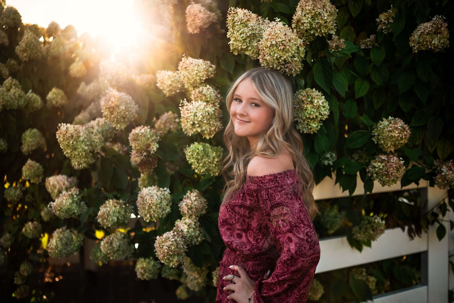 A person in a burgundy sweater poses outdoors near blooming white hydrangea bushes at sunset.